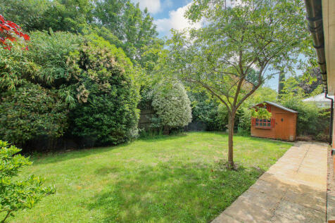 Rear Garden (2)
