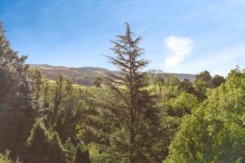 Bc800f7e-TYC-02 T202510011538.jpg