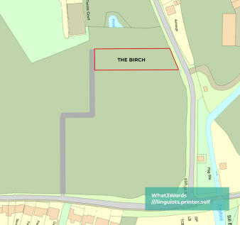 The Birch Plan