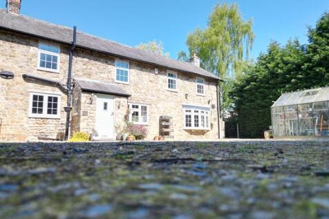 03BD5EA9-D835-44D1-BED5-CE7DD9BD2E15.jpeg