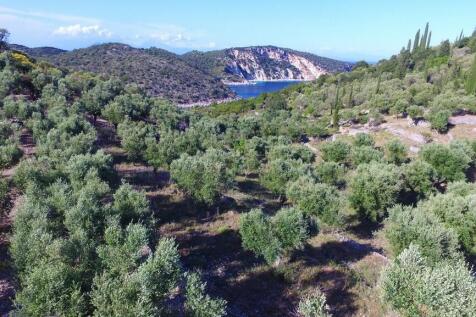 Aerial views 
