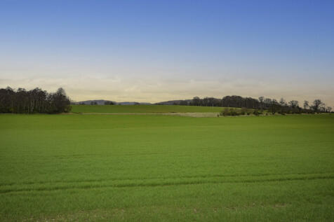 DSC_0987-Edit