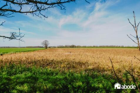 DSC08137-HDR.jpg