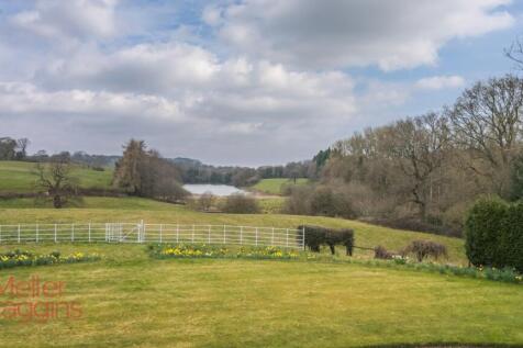 20250321-20250321-DJI_0152-Edit (2).jpg