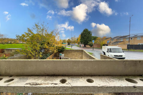 IMG 7146 T202511051328.jpg