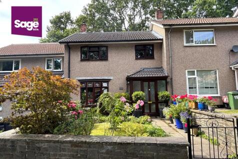 image00003 (1).jpeg