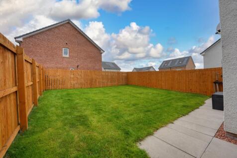 Back Garden