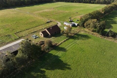 Pine Meadows Walesby 101024 (30).JPG