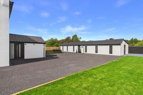 Rear Garden and Annex 