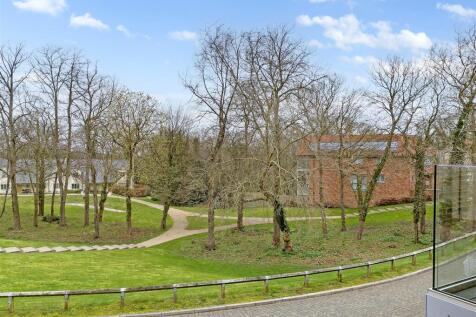 DJI_20240319101801_0006_D copy.jpg