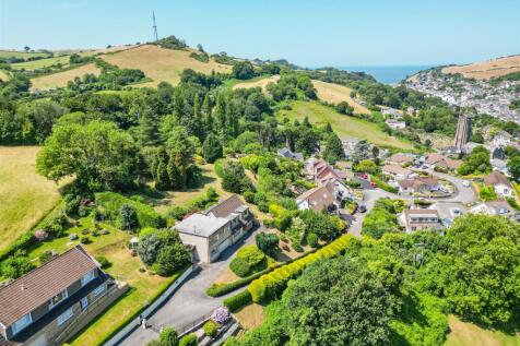 Drone View