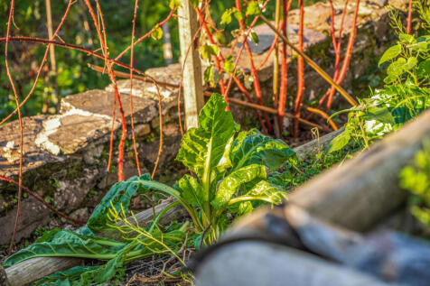 1372752-22-691b6b24e8231