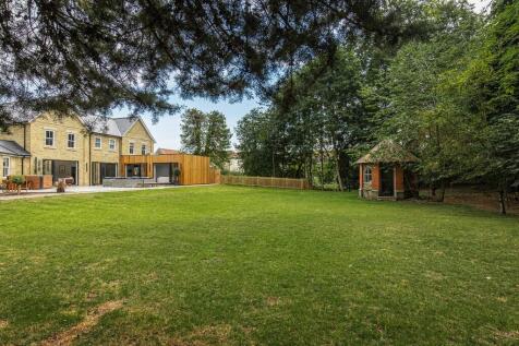 The Wilderness-63...