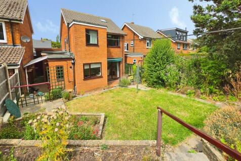 Back Garden