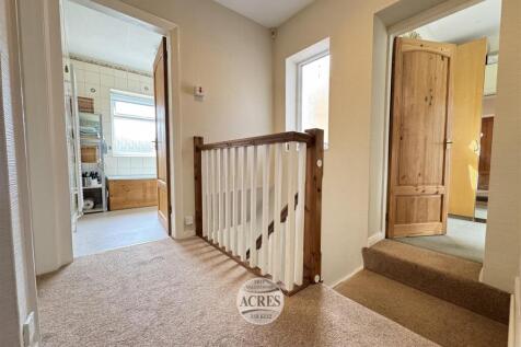 IMG_4794 (Large).jpg