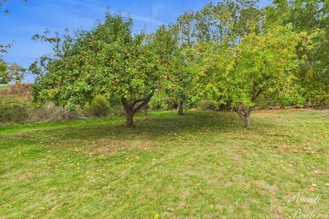 CAM02127G0-PR0342-STILL031