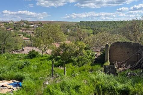 Property Image 33