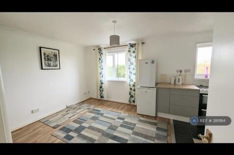 Living/Kitchen Area