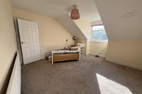 IMG 9138-min T202512121015.jpeg