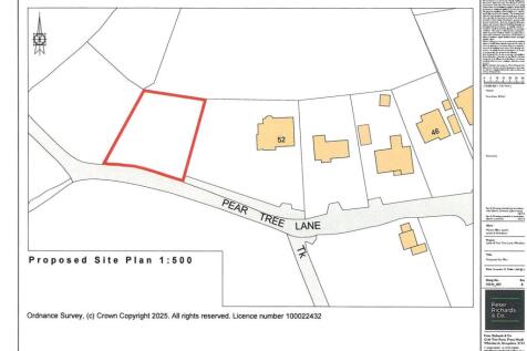 Site Plan.jpg