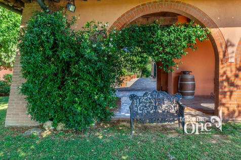 poggio alle talpe -1