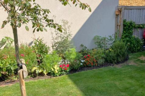 Summer border