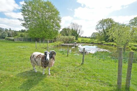 Paddock &amp; Pond (4).JPG