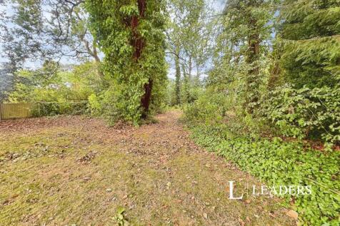 pbox-IMG.jpg