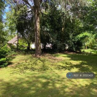 Communal Gardens