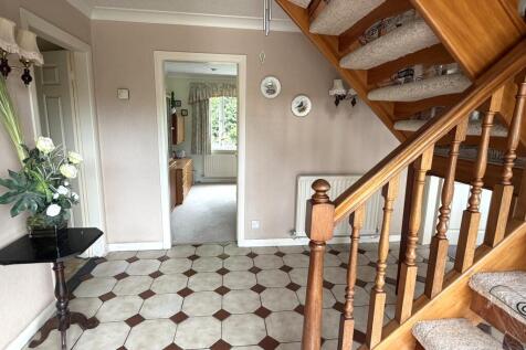 IMG_0388.jpeg