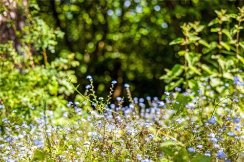 Flowerbeds
