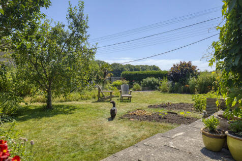 Photo 38