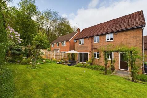 Property Image 4