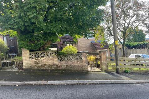 WhatsApp Image 20...