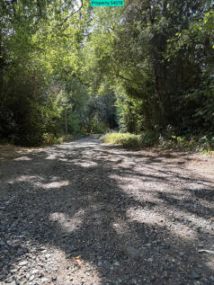 Direct Ashdown Forest access