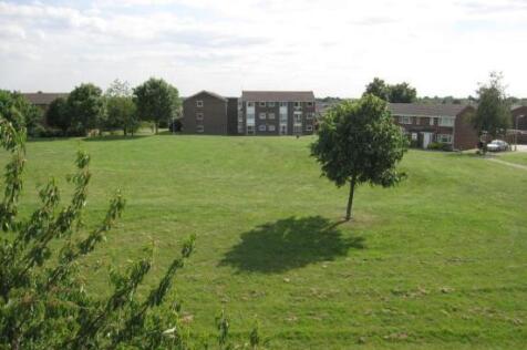 Petunia Crescent, Springfield, Chelmsford, CM1 photo 3