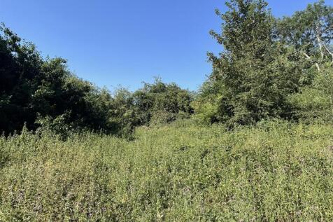 IMG_3704.JPEG