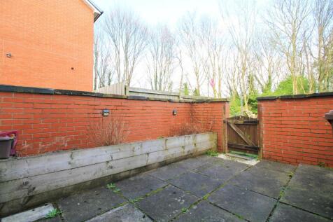 Rear yard.jpg
