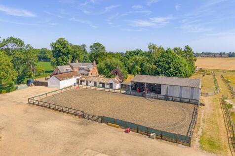 Equine Arena