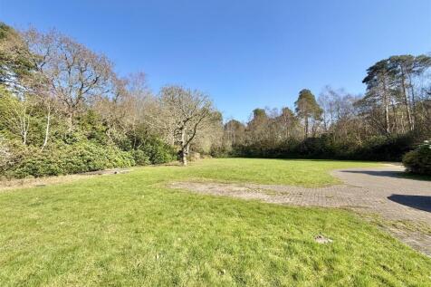 View from cottage to top of garden