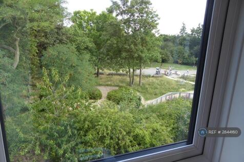 View From Living Room