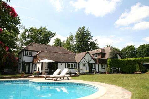 Garden and Pool