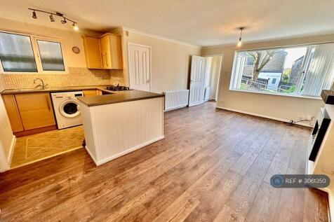 Open Plan Living Room And Kitchen