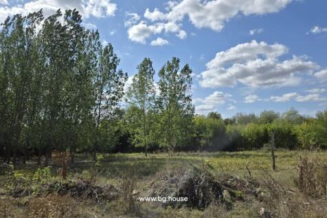 Expansive garden land with various trees under a blue sky with scattered clouds.