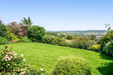 Garden And View