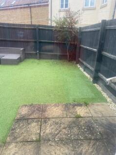 back Garden 23 Charlotte 2.jpg