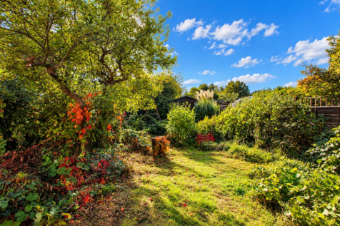 garden b.png