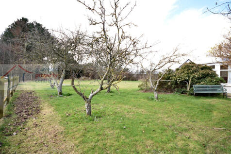 garden 3 .JPG