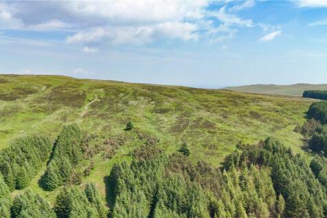 Upland Hill