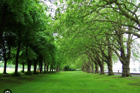 Wandsworth Park